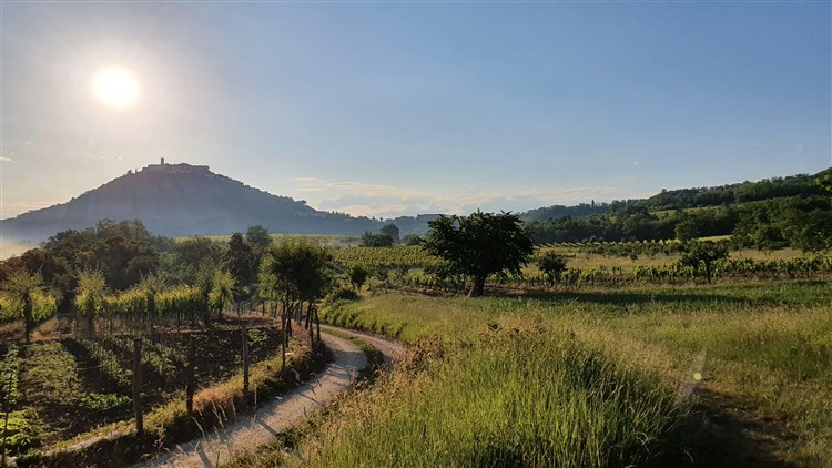 Motovun | Krásy a chutě Istrie a relax u moře