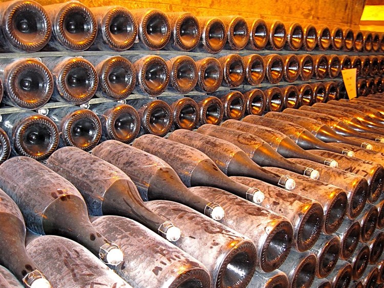 Vinařství | Champagne a Lotrinsko, zážitkové kraje Francie