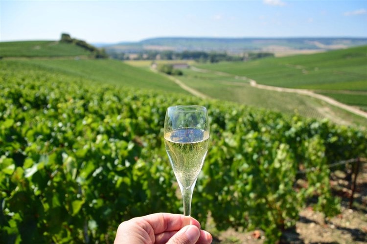 Champagne a Lotrinsko, zážitkové kraje Francie