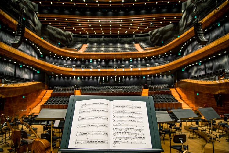 Divadla a muzikály